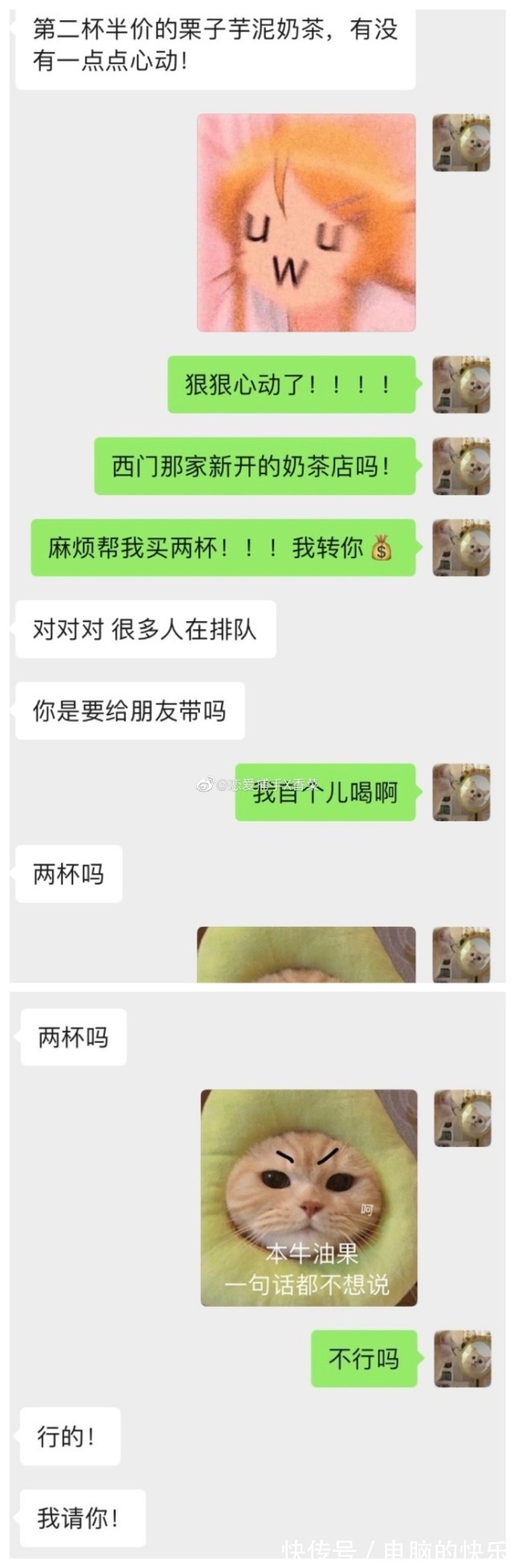 |搞笑女居然也能和帅哥有爱情?救命有被狠狠甜到……