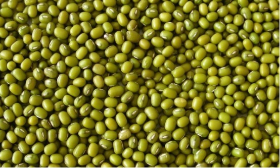 养生|4种豆子不同功效,吃对了可以养生长寿,你还不知道太可惜了!