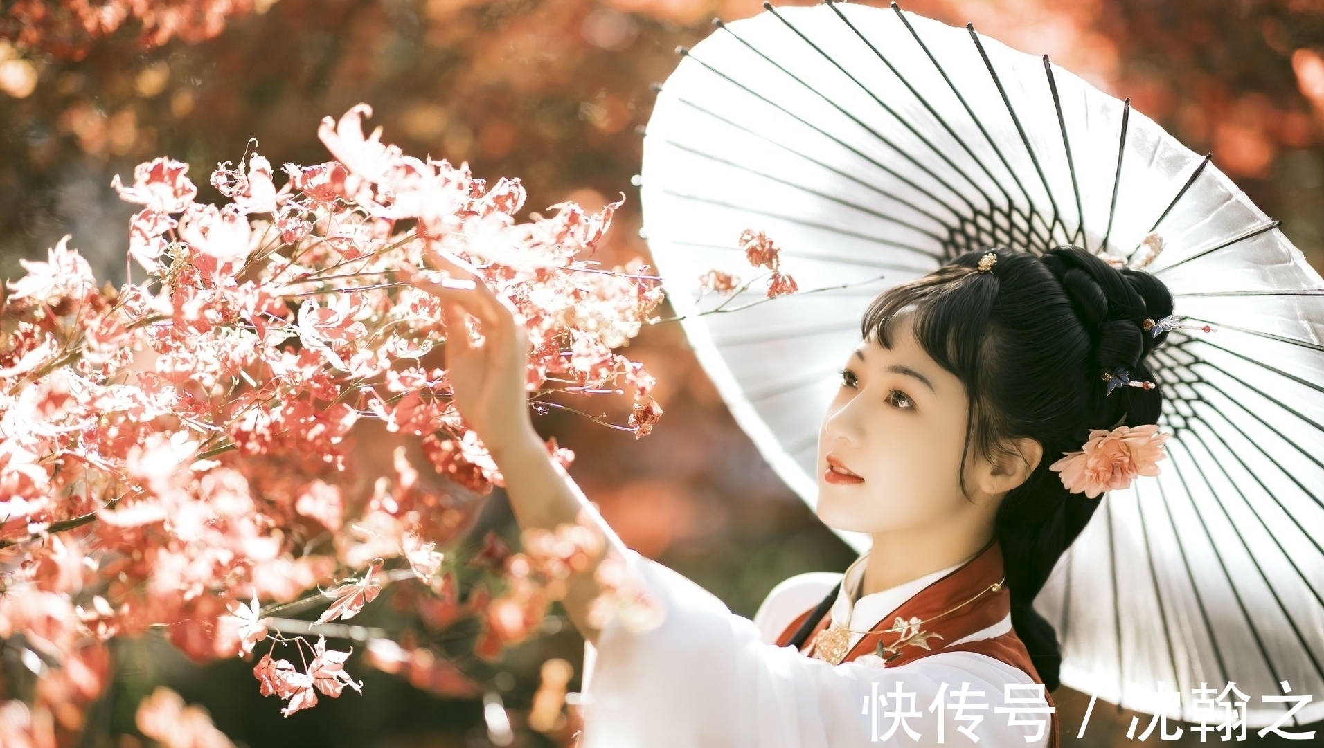 三秋&原创对联·十九副丨浮云碧水皆知己,修竹疏花俱美人