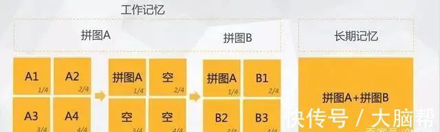 研究|脑科学研究:七个科学方法让学习更高效