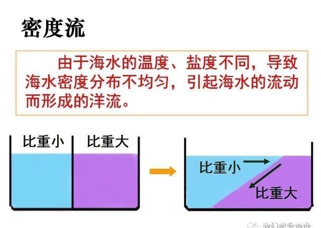 必修|人教版（2019）选择性必修Ⅰ 4.2 洋流