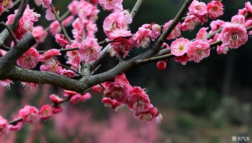 一日穿越四朝，恍若梦回千年