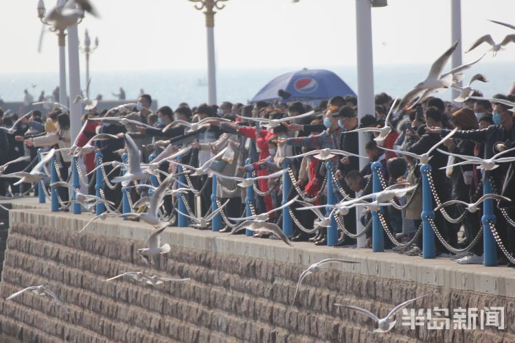 人潮鸥海入画来|显微镜 |人潮鸥海入画来\＂,\＂i12\＂:\＂显微镜