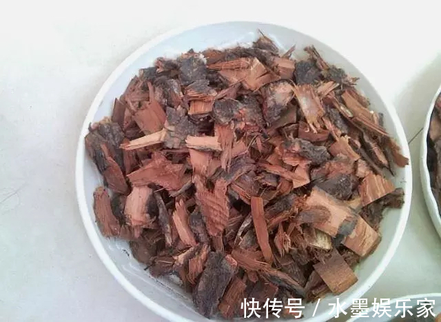 根粗叶绿|路边“捡”3种废弃物,开水烫一烫,养绿萝君子兰“根粗叶绿”