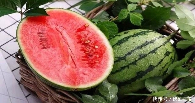 红背菜|想长寿全靠吃，3种食物不能省，清肺化痰，清肠排毒，可助好转