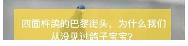 《H6》首映!明早面包咖啡导演侯着大家!内附各城市最新时间