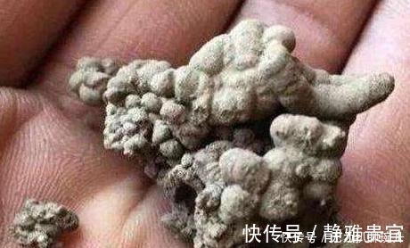 花土|养花难不难?老花匠说:难的是养土,学会2个小诀窍,养好花不难