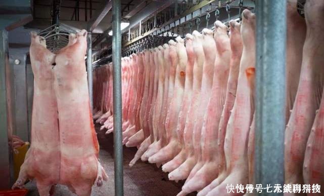 长方形|去菜场买猪肉,看到这几种盖章,为了健康,价格再低也别买