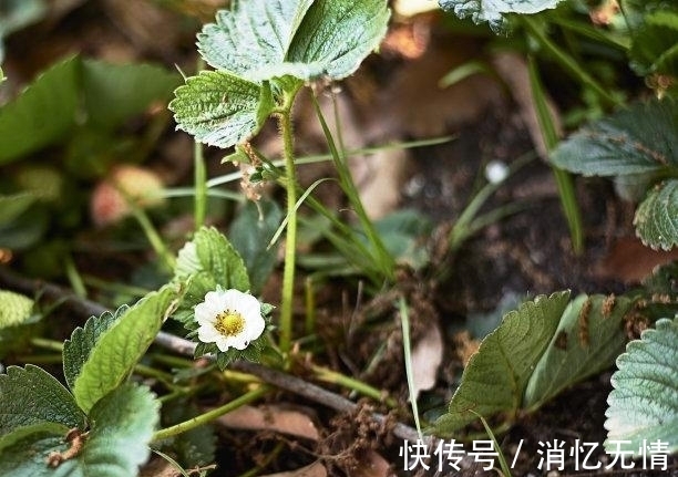 贵气|还有三周，旧缘散去，邂逅前任，收获真心，回眸相望，爱你永不变