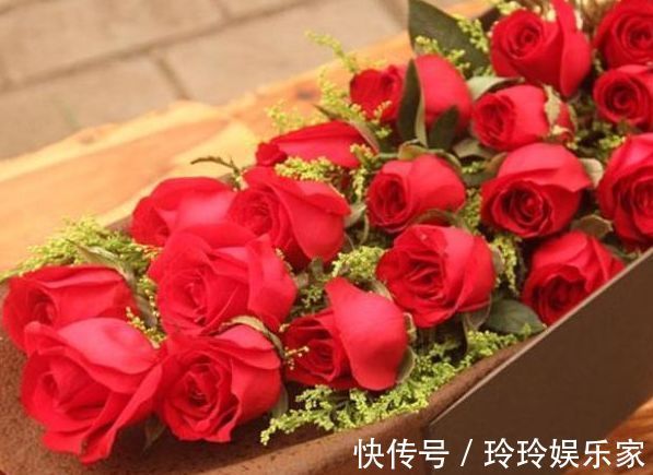 花友|喜欢菊花,不妨养“玫瑰精品”卡罗拉,花开红艳似火,美艳优雅