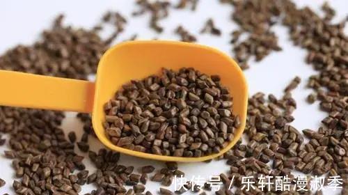 甘草|常喝菊花茶加一物，清肝明目，润肠通便