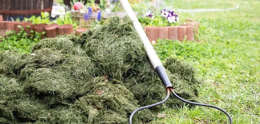 垃圾|碎草渣用来养花的三大好处,别把它当垃圾扔掉了