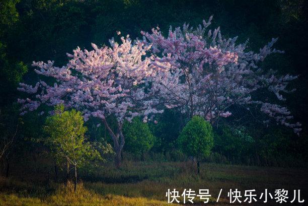 复合|往后2天，兜兜转转，月老眷顾，牵手复合，真心求和，顺利脱单