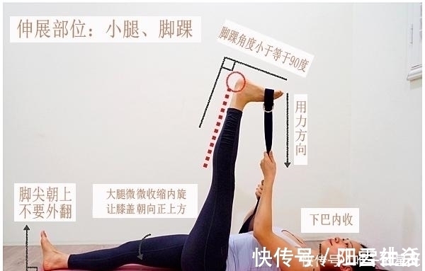 柔软度|坐着“伸展”轻松，躺着伸展安全！脚底、腿后侧臀部肌群伸展分享