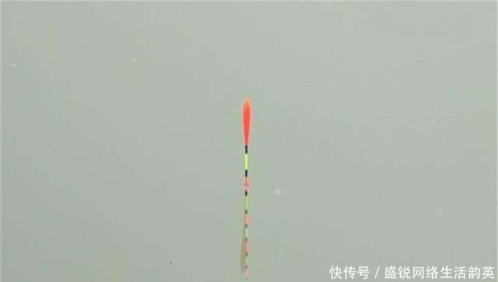 软尾|浮漂长尾、粗尾、软尾,这些漂尾“特殊”的浮漂,调漂用不同方法