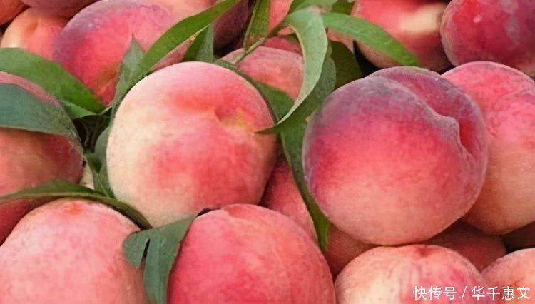 健康长寿|对身体最好的3种食物,排毒抗衰,改善便秘,缓解失眠