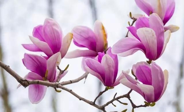 出自李斯篆|李斯8句经典语录,深刻有内涵,值得细细品读!