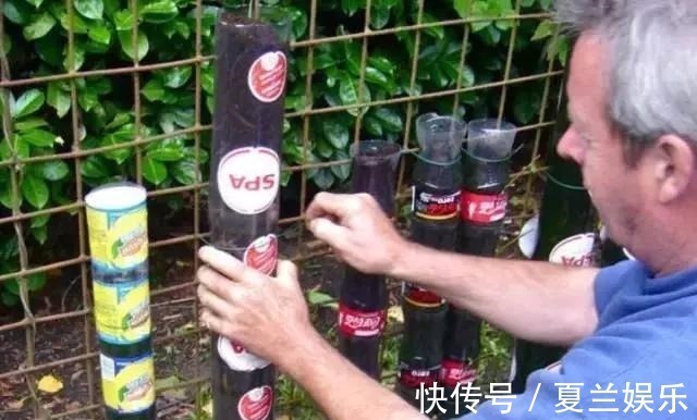 捡回7个塑料瓶,养成空中菜园,变废为宝,吃上绿色蔬菜