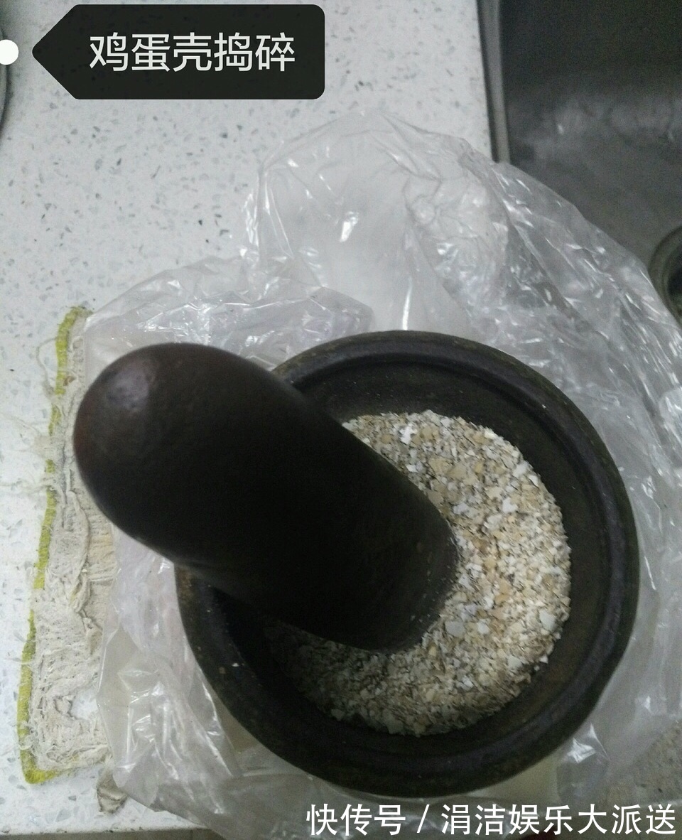 自制1种“混合土”,君子兰、绿萝最喜欢,1分钱不花,根旺叶绿