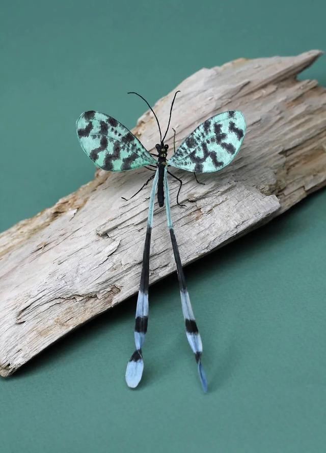 差点吓一跳,用纸做出来的昆虫,比真的还逼真