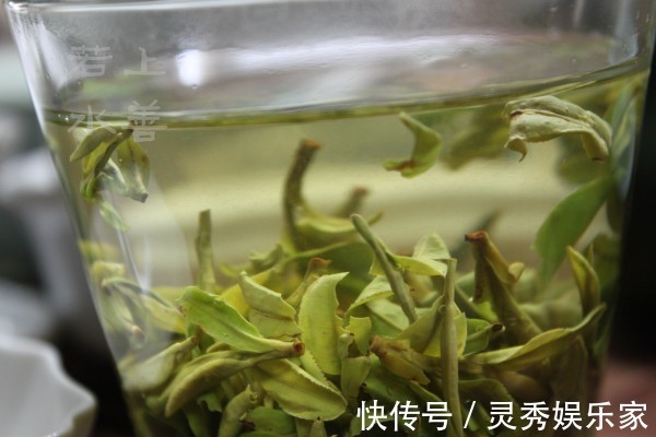 植物|养花浇水“学问大”，老花匠教你什么水、什么时间适宜浇花！