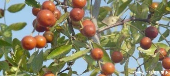 营养|想长寿要多吃3种食物,补充营养、延缓衰老,好处多多!