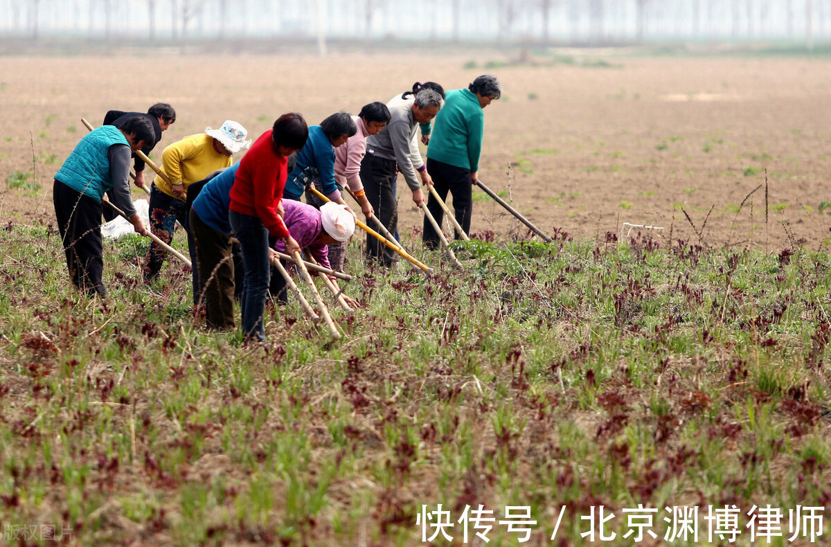 规定|农村土地被征收百姓可以分到多少钱？
