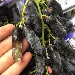 此果树“冰箱”冻不死，浇水就疯长，阳台种2棵，明年水果比米多