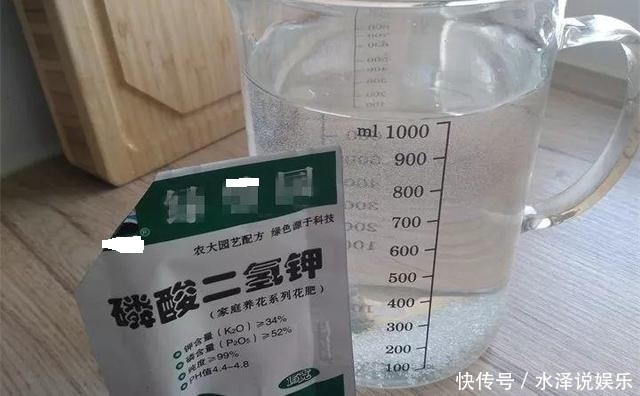 磷酸二氢钾|2种促进植物开花的“万能肥”,花期前,浇水加一勺,蹭蹭冒花苞
