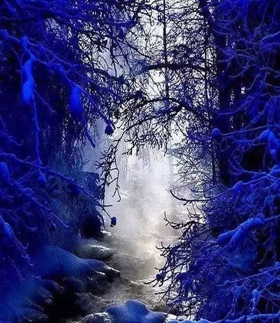 传来|太美了,世界照片今天终于传来,罕见至极,一睹为快