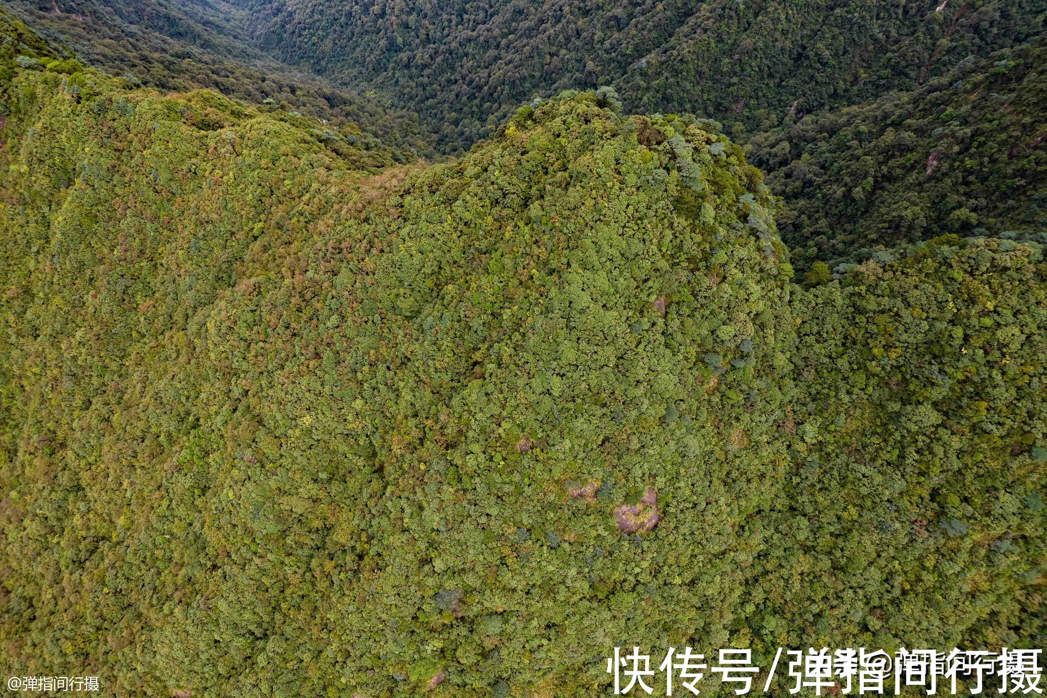 五指峰|湖南有座“绿色宝库”，横跨湘粤，山高林密，出产特有的剧毒蛇