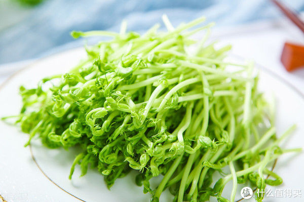 超鸡肋|10件鸡肋神器,入手就后悔,建议大家:千万别交“智商税”