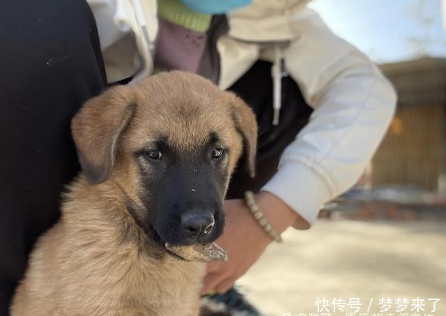 幸福|小小的幸福,多肉露养到秋天的收获