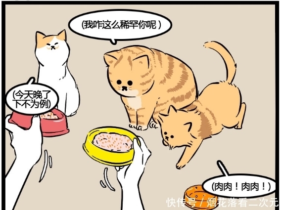 恩爱|搞笑漫画：一边铲屎一边秀恩爱，高甜百合姐妹花简直虐狗啊！