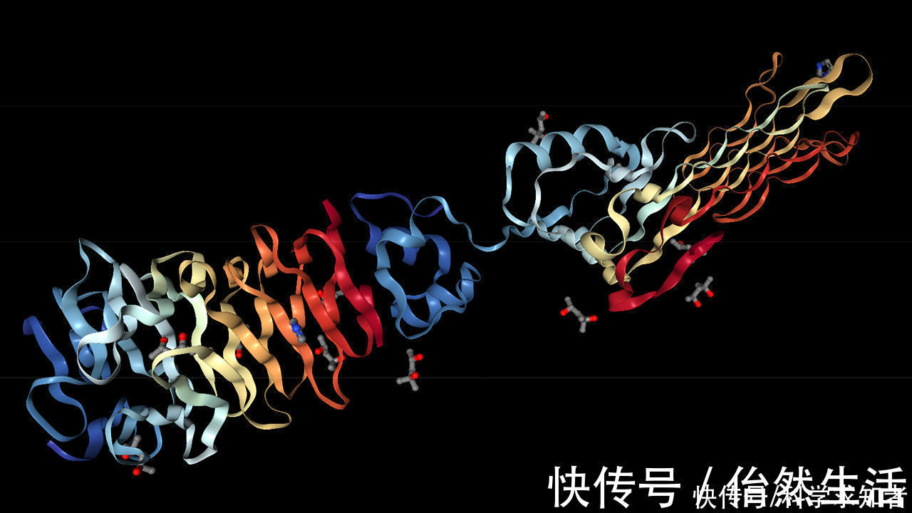人类|没错,战胜柯洁的AI,已经开始解决困扰科学家50年的生物难题