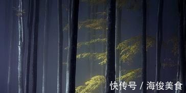 词人|张抡最经典的一首词，诗中有画，辞意兼美，令人心醉