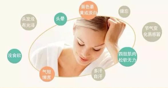 上火|气阴双补之“生脉饮”，生脉而不容易上火，更是夏季必备的佳品