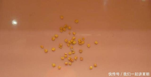 阳台很容易使用，种一盆辣椒，按照四个步骤做盆景，既漂亮又美味