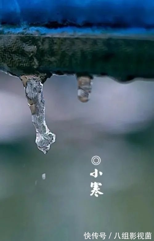 梅花饺!小寒时节,让我们一起走进诗词,感受属于“小寒”的那份韵味。