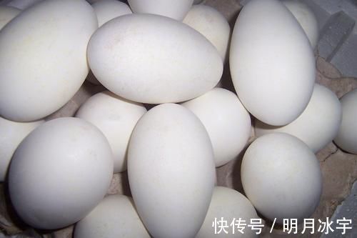 胎毒|你家婆婆在怀孕后期有没有让你吃鹅蛋?孕期吃鹅蛋有什么好处?