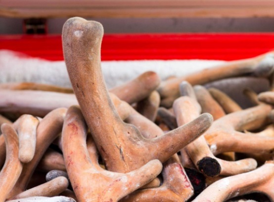 雄性激素|它是男性的“黄金水”,别不舍得喝,补充“雄激素”,肾脏更有力