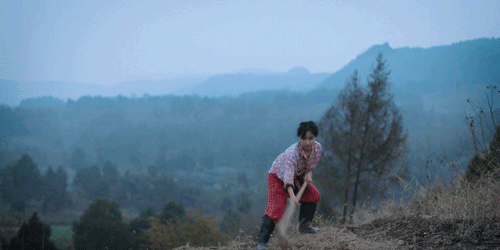 一物一生，吃完萝卜，一生系列就停在这里了吧