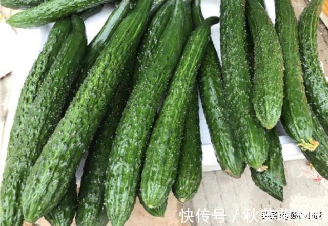 打了激素的黄瓜怎么辨认?老菜农:教你一招,看一眼就能区别