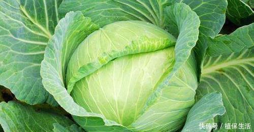 女性到中年,要多吃三种食物,滋补身体,不妨一试