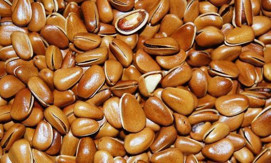 腰果|10种坚果营养排行榜,核桃为脑之果护脑标兵,可促进代谢!