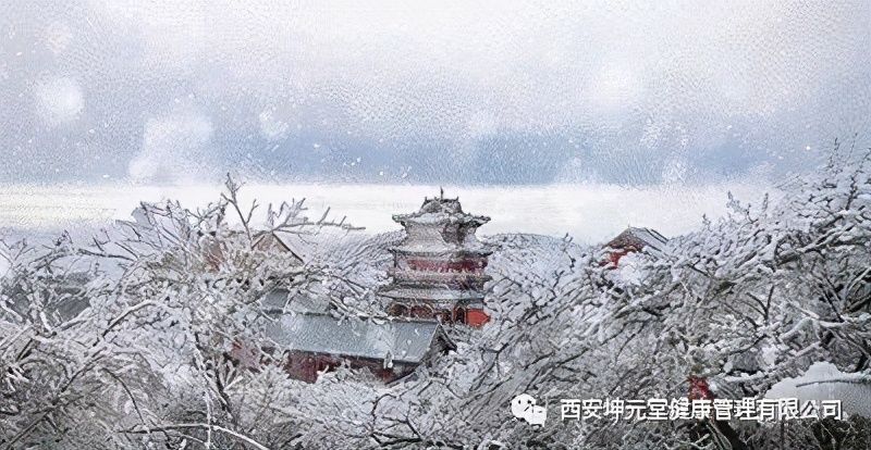  大雪|中医讲堂：大雪节气应吃什么食物？