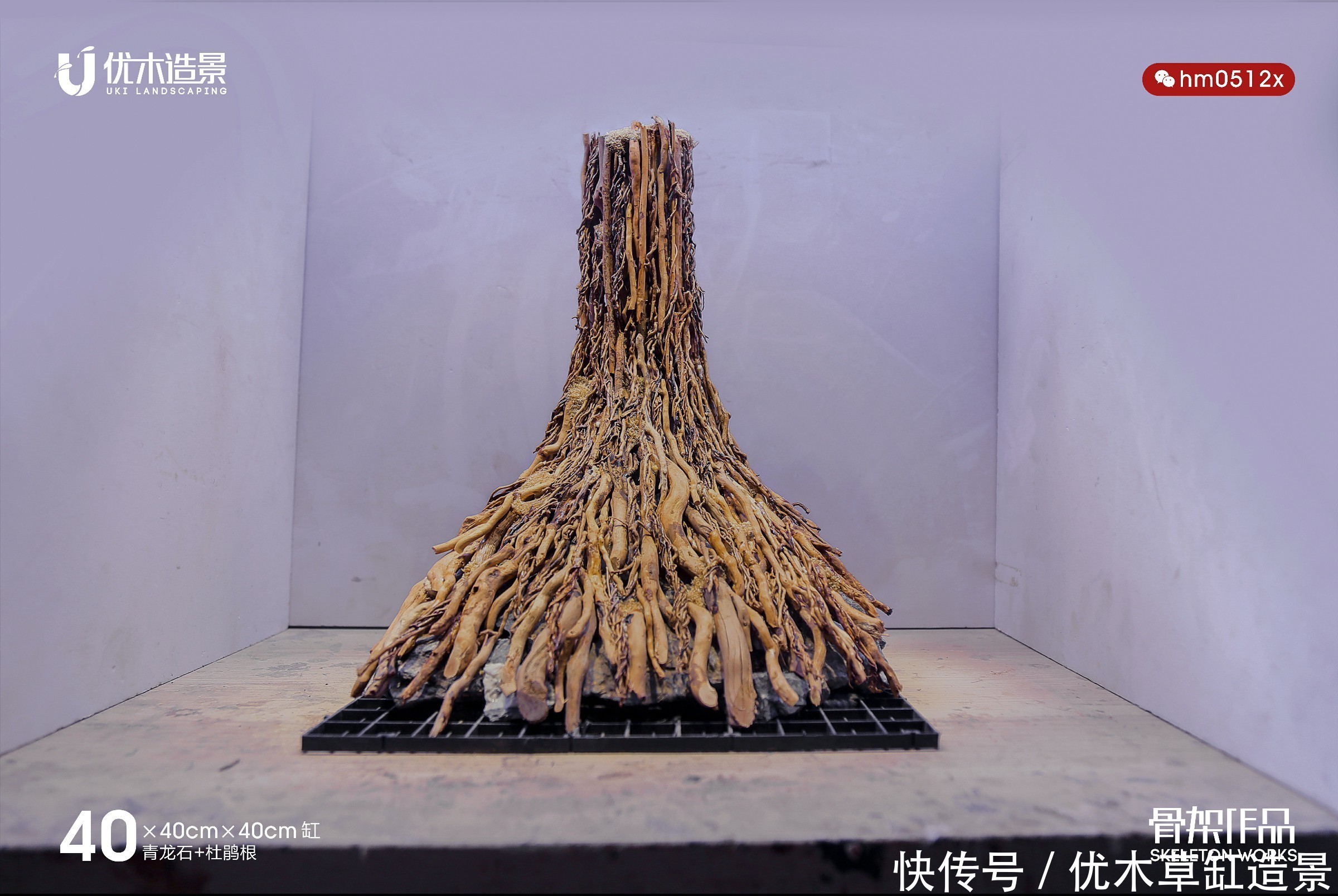 闲说几句,再来看四零方缸的生命之树的草缸造景骨架