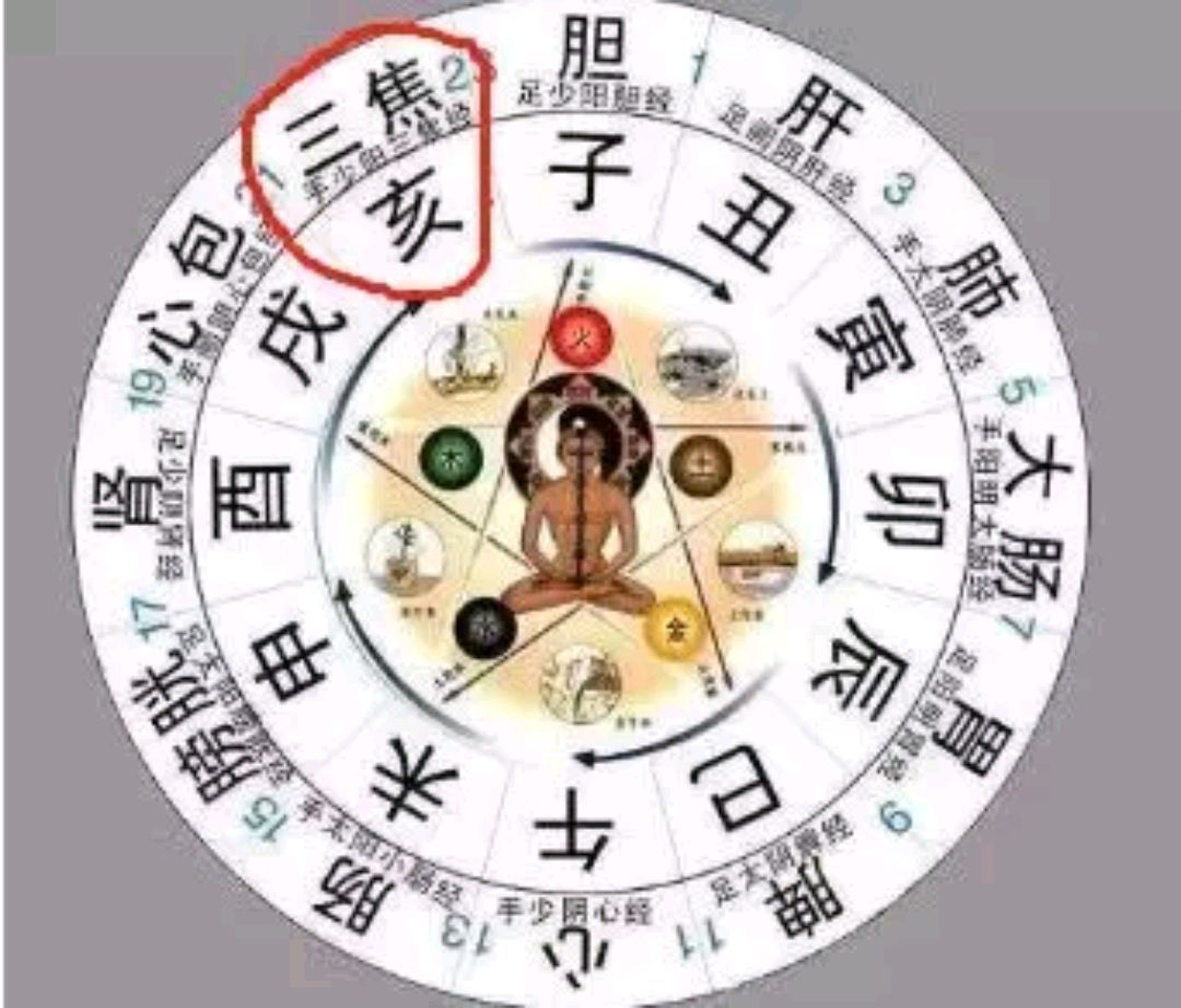 眼部|一天中有2个小时最养生!抓住了这段黄金时间,养生效果自然翻倍