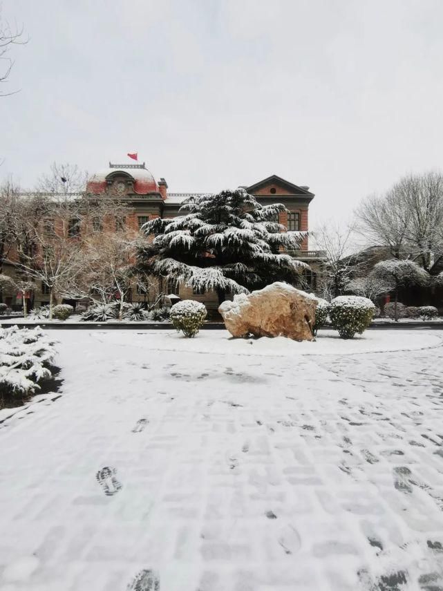 2021年的第一场雪，是思念天外的情结