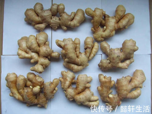 白酒|生姜能放冰箱保存吗?教你正确方法,不干瘪不生芽,真实用